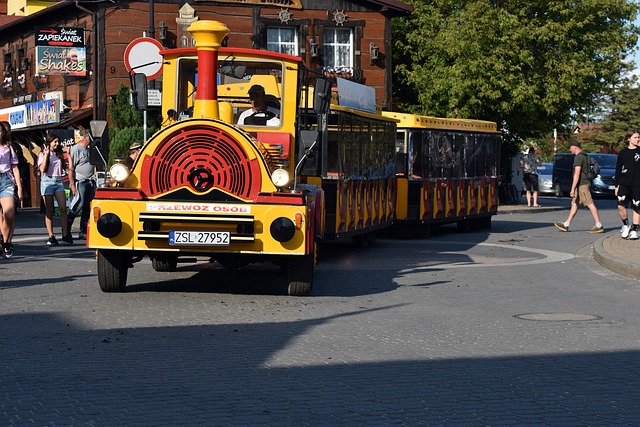 Trenecito Turístico de Navidad